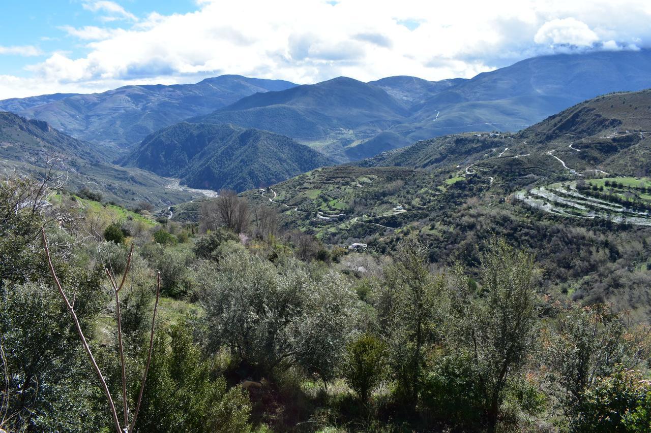 Apartament Dreams Alpujarra Pampaneira Zewnętrze zdjęcie